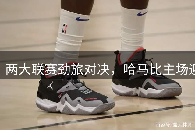 两大联赛劲旅对决，哈马比主场迎战安德莱赫特